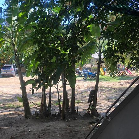 The Riverdeck Accommodation And Backpackers นิสนา ภายนอก รูปภาพ