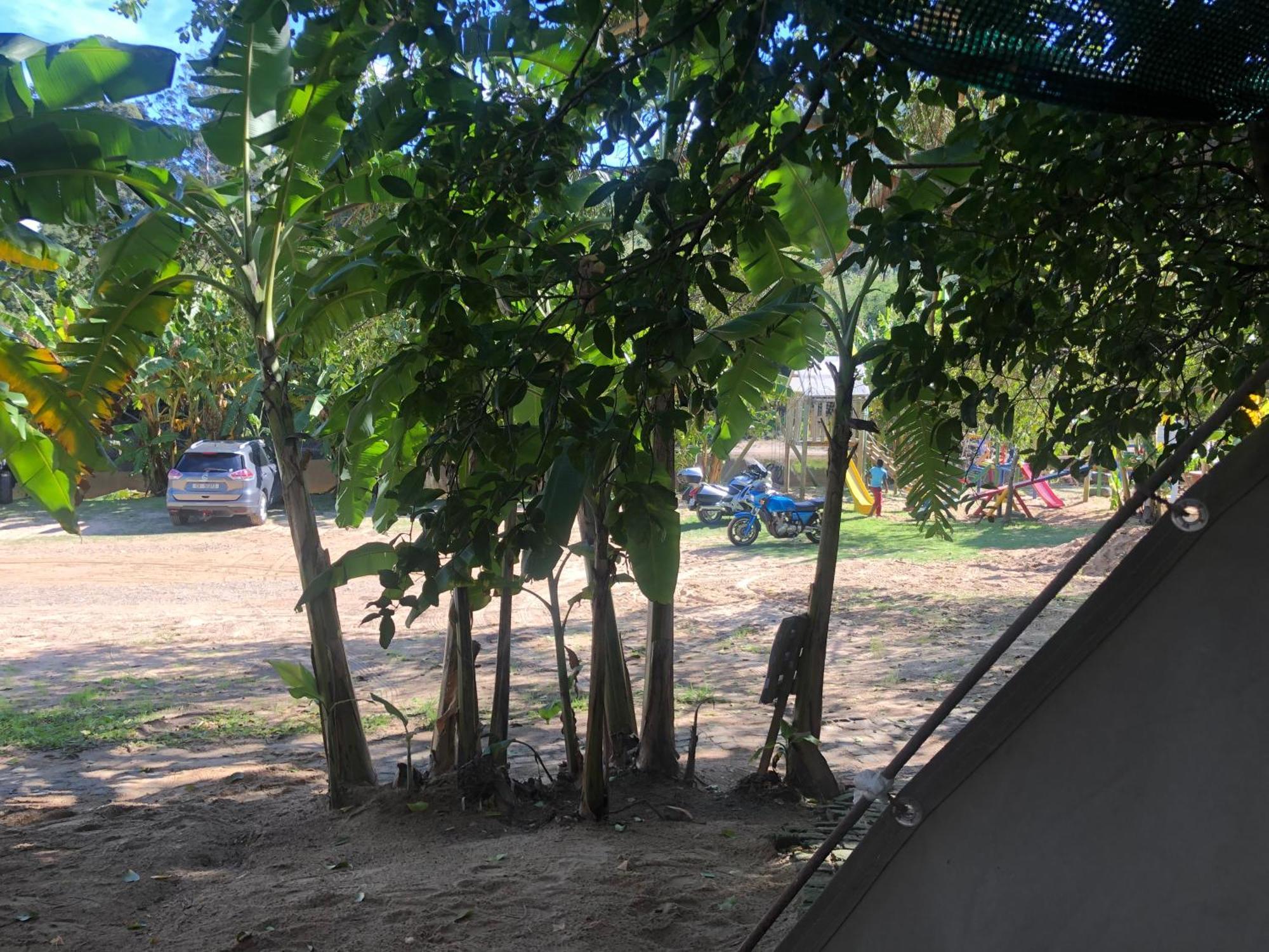 The Riverdeck Accommodation And Backpackers นิสนา ภายนอก รูปภาพ